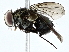  ( - BIOUG95324-E11)  @11 [ ] CreativeCommons - Attribution (2022) CBG Photography Group Centre for Biodiversity Genomics