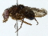  ( - BIOUG95325-B12)  @11 [ ] CreativeCommons - Attribution (2022) CBG Photography Group Centre for Biodiversity Genomics