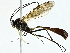  ( - BIOUG95326-D05)  @11 [ ] CreativeCommons - Attribution (2022) CBG Photography Group Centre for Biodiversity Genomics