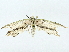  ( - BIOUG95326-G12)  @11 [ ] CreativeCommons - Attribution (2022) CBG Photography Group Centre for Biodiversity Genomics