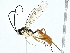 ( - BIOUG95354-D08)  @11 [ ] CreativeCommons - Attribution (2022) CBG Photography Group Centre for Biodiversity Genomics