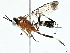  ( - BIOUG95355-D03)  @11 [ ] CreativeCommons - Attribution (2022) CBG Photography Group Centre for Biodiversity Genomics