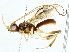  ( - BIOUG95355-F04)  @11 [ ] CreativeCommons - Attribution (2022) CBG Photography Group Centre for Biodiversity Genomics
