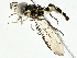  ( - BIOUG95356-C02)  @11 [ ] CreativeCommons - Attribution (2022) CBG Photography Group Centre for Biodiversity Genomics