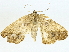  ( - BIOUG95356-E06)  @11 [ ] CreativeCommons - Attribution (2022) CBG Photography Group Centre for Biodiversity Genomics