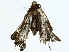  ( - BIOUG95356-F05)  @11 [ ] CreativeCommons - Attribution (2022) CBG Photography Group Centre for Biodiversity Genomics