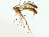  ( - BIOUG95282-H01)  @11 [ ] CreativeCommons - Attribution (2022) CBG Photography Group Centre for Biodiversity Genomics