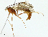  ( - BIOUG95282-H02)  @11 [ ] CreativeCommons - Attribution (2022) CBG Photography Group Centre for Biodiversity Genomics