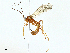  ( - BIOUG95282-H07)  @11 [ ] CreativeCommons - Attribution (2022) CBG Photography Group Centre for Biodiversity Genomics