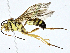  ( - BIOUG95283-A05)  @11 [ ] CreativeCommons - Attribution (2023) CBG Photography Group Centre for Biodiversity Genomics
