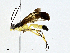  ( - BIOUG95283-B02)  @11 [ ] CreativeCommons - Attribution (2023) CBG Photography Group Centre for Biodiversity Genomics