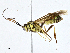  ( - BIOUG95283-B04)  @11 [ ] CreativeCommons - Attribution (2023) CBG Photography Group Centre for Biodiversity Genomics