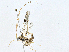  ( - BIOUG95283-B07)  @11 [ ] CreativeCommons - Attribution (2023) CBG Photography Group Centre for Biodiversity Genomics