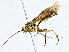  ( - BIOUG95283-C05)  @11 [ ] CreativeCommons - Attribution (2023) CBG Photography Group Centre for Biodiversity Genomics