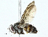  ( - BIOUG95327-B09)  @11 [ ] CreativeCommons - Attribution (2023) CBG Photography Group Centre for Biodiversity Genomics