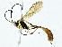  ( - BIOUG95327-E04)  @11 [ ] CreativeCommons - Attribution (2023) CBG Photography Group Centre for Biodiversity Genomics