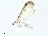  ( - BIOUG95327-F10)  @11 [ ] CreativeCommons - Attribution (2023) CBG Photography Group Centre for Biodiversity Genomics