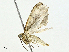  ( - BIOUG95327-G01)  @11 [ ] CreativeCommons - Attribution (2023) CBG Photography Group Centre for Biodiversity Genomics