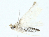  ( - BIOUG95327-G10)  @11 [ ] CreativeCommons - Attribution (2023) CBG Photography Group Centre for Biodiversity Genomics