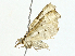  ( - BIOUG95328-A03)  @11 [ ] CreativeCommons - Attribution (2023) CBG Photography Group Centre for Biodiversity Genomics