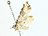  ( - BIOUG95328-A04)  @11 [ ] CreativeCommons - Attribution (2023) CBG Photography Group Centre for Biodiversity Genomics