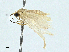  ( - BIOUG95328-A10)  @11 [ ] CreativeCommons - Attribution (2023) CBG Photography Group Centre for Biodiversity Genomics