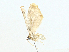  ( - BIOUG95328-B03)  @11 [ ] CreativeCommons - Attribution (2023) CBG Photography Group Centre for Biodiversity Genomics