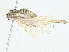  ( - BIOUG95328-H06)  @11 [ ] CreativeCommons - Attribution (2023) CBG Photography Group Centre for Biodiversity Genomics
