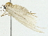  ( - BIOUG95357-A01)  @11 [ ] CreativeCommons - Attribution (2022) CBG Photography Group Centre for Biodiversity Genomics