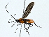  ( - BIOUG95357-A09)  @13 [ ] CreativeCommons - Attribution (2022) CBG Photography Group Centre for Biodiversity Genomics