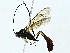  ( - BIOUG95357-A10)  @11 [ ] CreativeCommons - Attribution (2022) CBG Photography Group Centre for Biodiversity Genomics