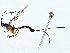  ( - BIOUG95357-B06)  @11 [ ] CreativeCommons - Attribution (2022) CBG Photography Group Centre for Biodiversity Genomics
