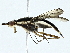  ( - BIOUG95357-G08)  @11 [ ] CreativeCommons - Attribution (2022) CBG Photography Group Centre for Biodiversity Genomics