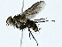  ( - BIOUG95357-G09)  @11 [ ] CreativeCommons - Attribution (2022) CBG Photography Group Centre for Biodiversity Genomics