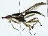  ( - BIOUG95358-A04)  @11 [ ] CreativeCommons - Attribution (2022) CBG Photography Group Centre for Biodiversity Genomics