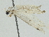  ( - BIOUG95358-D02)  @11 [ ] CreativeCommons - Attribution (2022) CBG Photography Group Centre for Biodiversity Genomics