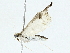  ( - BIOUG95358-D05)  @11 [ ] CreativeCommons - Attribution (2022) CBG Photography Group Centre for Biodiversity Genomics