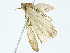  ( - BIOUG95358-D08)  @13 [ ] CreativeCommons - Attribution (2022) CBG Photography Group Centre for Biodiversity Genomics