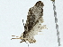  ( - BIOUG95358-D12)  @11 [ ] CreativeCommons - Attribution (2022) CBG Photography Group Centre for Biodiversity Genomics