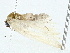  ( - BIOUG95358-E06)  @11 [ ] CreativeCommons - Attribution (2022) CBG Photography Group Centre for Biodiversity Genomics