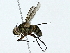 ( - BIOUG95358-E10)  @11 [ ] CreativeCommons - Attribution (2022) CBG Photography Group Centre for Biodiversity Genomics