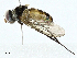  ( - BIOUG95359-A06)  @11 [ ] CreativeCommons - Attribution (2023) CBG Photography Group Centre for Biodiversity Genomics