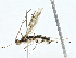  ( - BIOUG95359-E07)  @11 [ ] CreativeCommons - Attribution (2023) CBG Photography Group Centre for Biodiversity Genomics