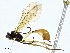  ( - BIOUG95359-E08)  @11 [ ] CreativeCommons - Attribution (2023) CBG Photography Group Centre for Biodiversity Genomics