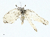  ( - BIOUG95360-A06)  @11 [ ] CreativeCommons - Attribution (2023) CBG Photography Group Centre for Biodiversity Genomics