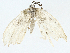  ( - BIOUG95360-C10)  @11 [ ] CreativeCommons - Attribution (2023) CBG Photography Group Centre for Biodiversity Genomics
