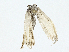  ( - BIOUG95360-D09)  @11 [ ] CreativeCommons - Attribution (2023) CBG Photography Group Centre for Biodiversity Genomics