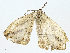  ( - BIOUG98661-A09)  @11 [ ] CreativeCommons - Attribution (2023) CBG Photography Group Centre for Biodiversity Genomics