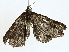  ( - BIOUG98661-B05)  @11 [ ] CreativeCommons - Attribution (2023) CBG Photography Group Centre for Biodiversity Genomics