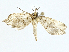  ( - BIOUG98661-C04)  @11 [ ] CreativeCommons - Attribution (2023) CBG Photography Group Centre for Biodiversity Genomics